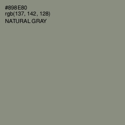 #898E80 - Natural Gray Color Image